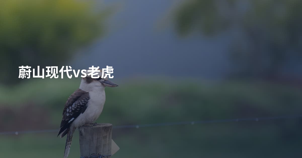 蔚山现代vs老虎