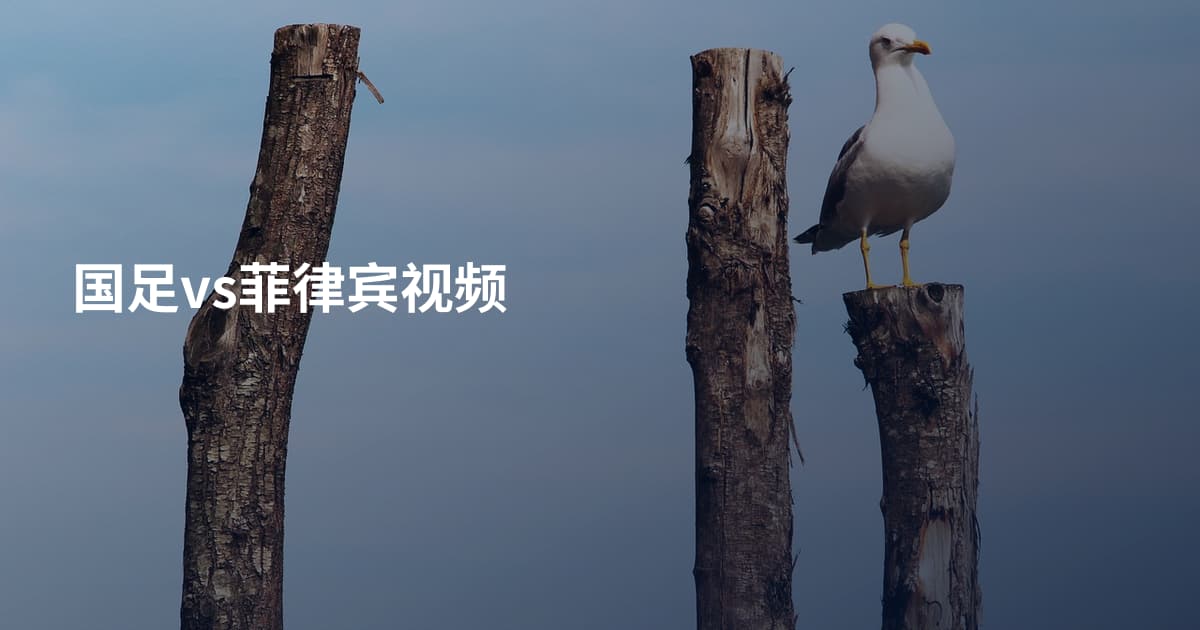 国足vs菲律宾视频