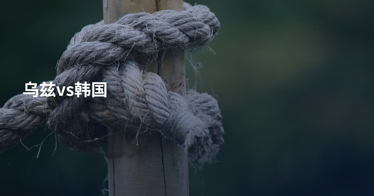 乌兹vs韩国