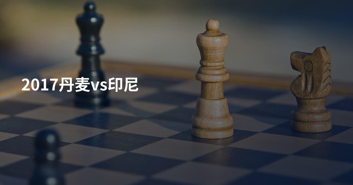 2017丹麦vs印尼