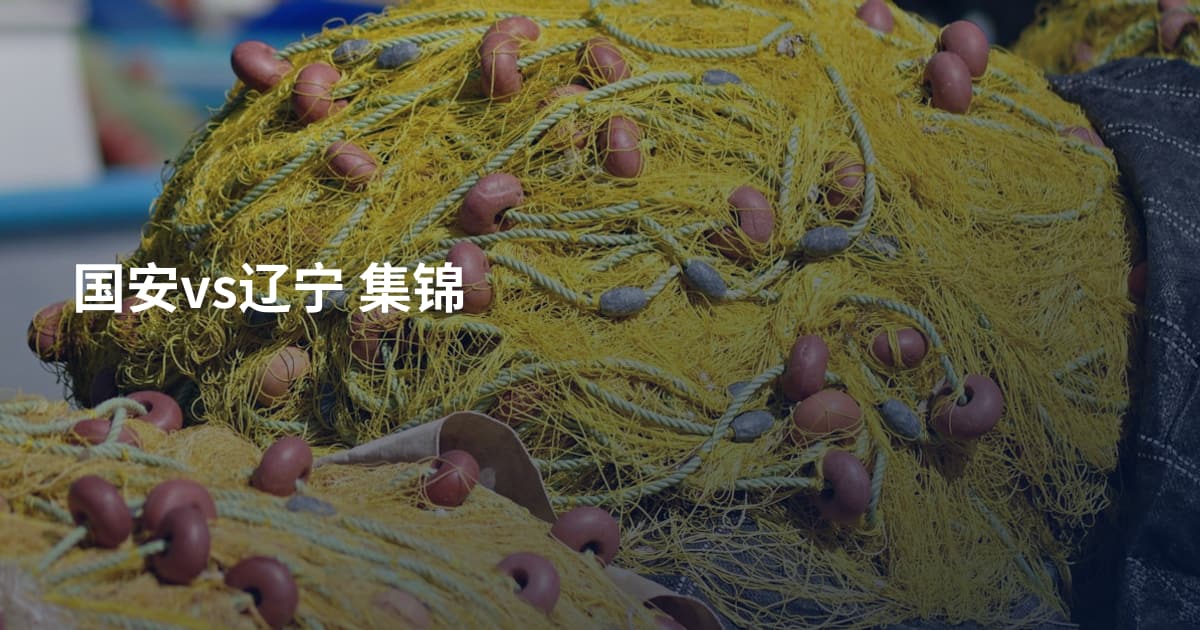 国安vs辽宁 集锦