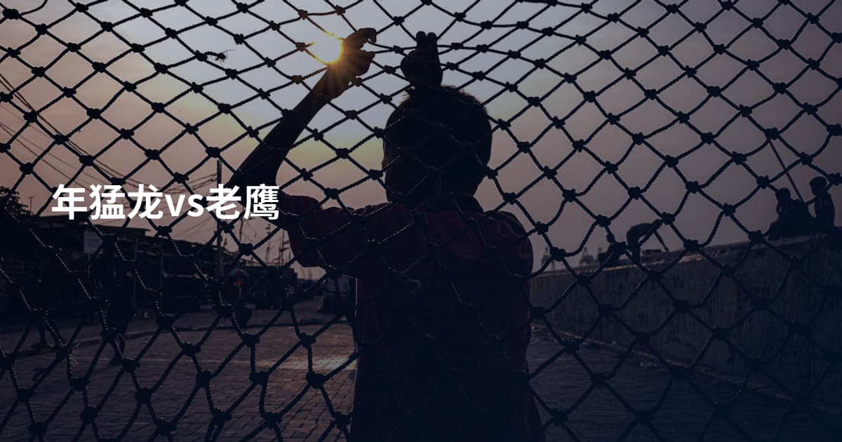 年猛龙vs老鹰