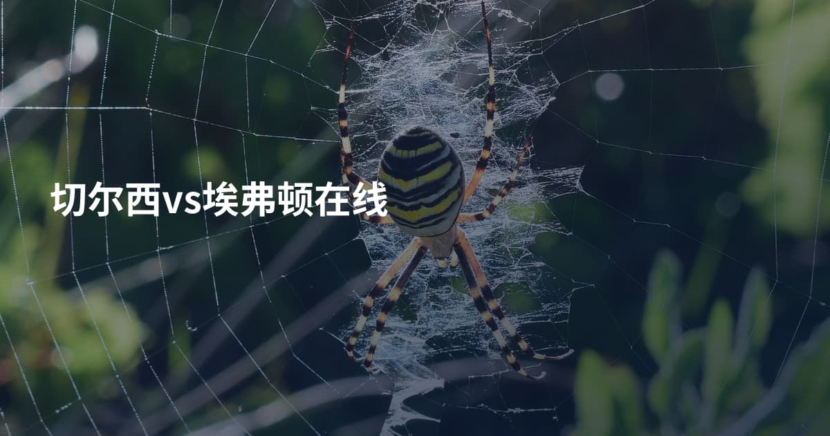 切尔西vs埃弗顿在线