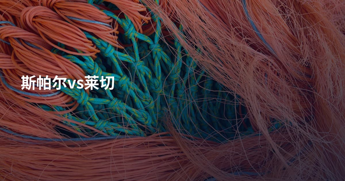 斯帕尔vs莱切