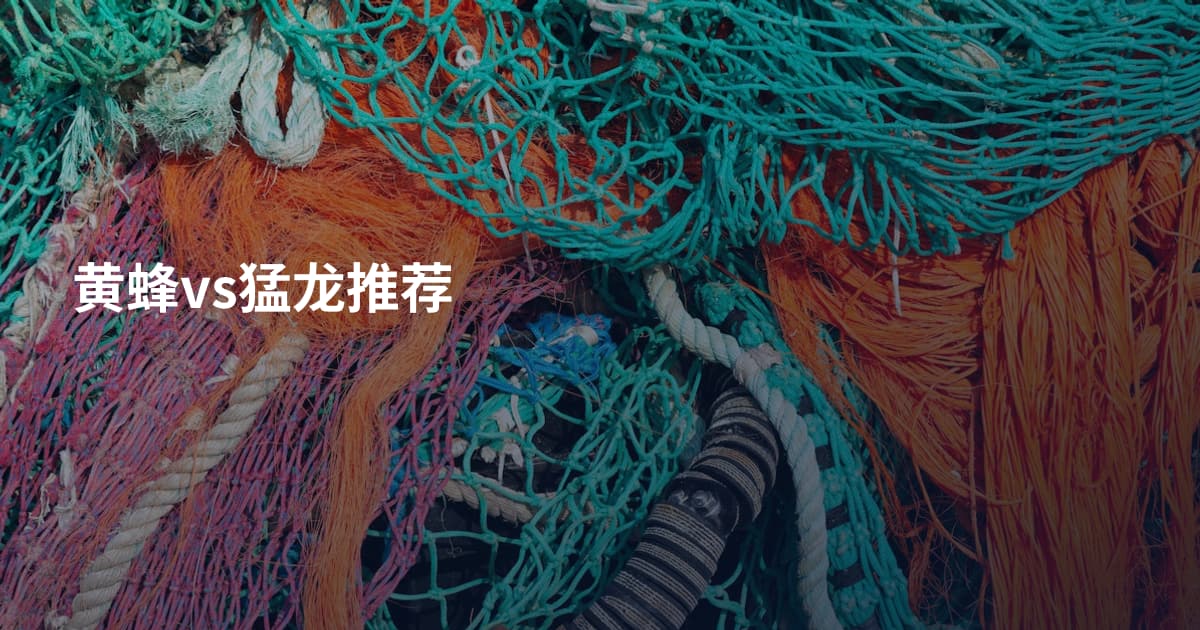 黄蜂vs猛龙推荐