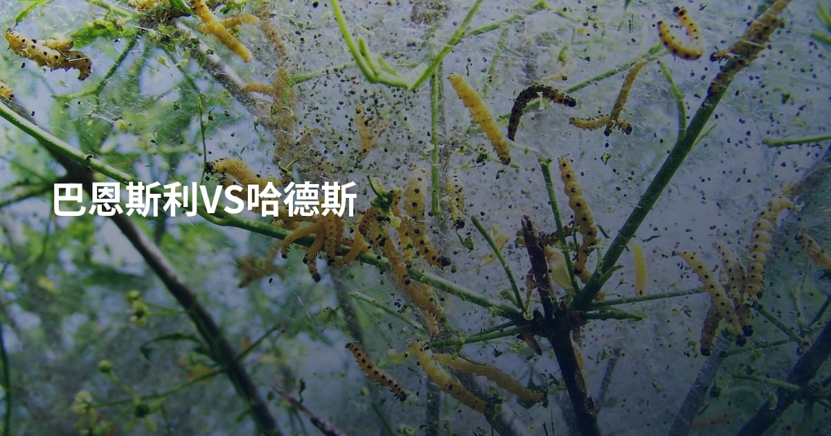 巴恩斯利VS哈德斯