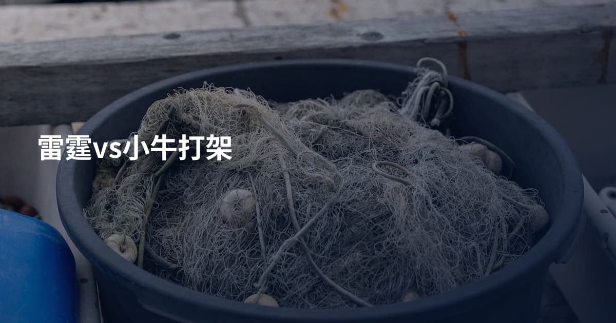 雷霆vs小牛打架
