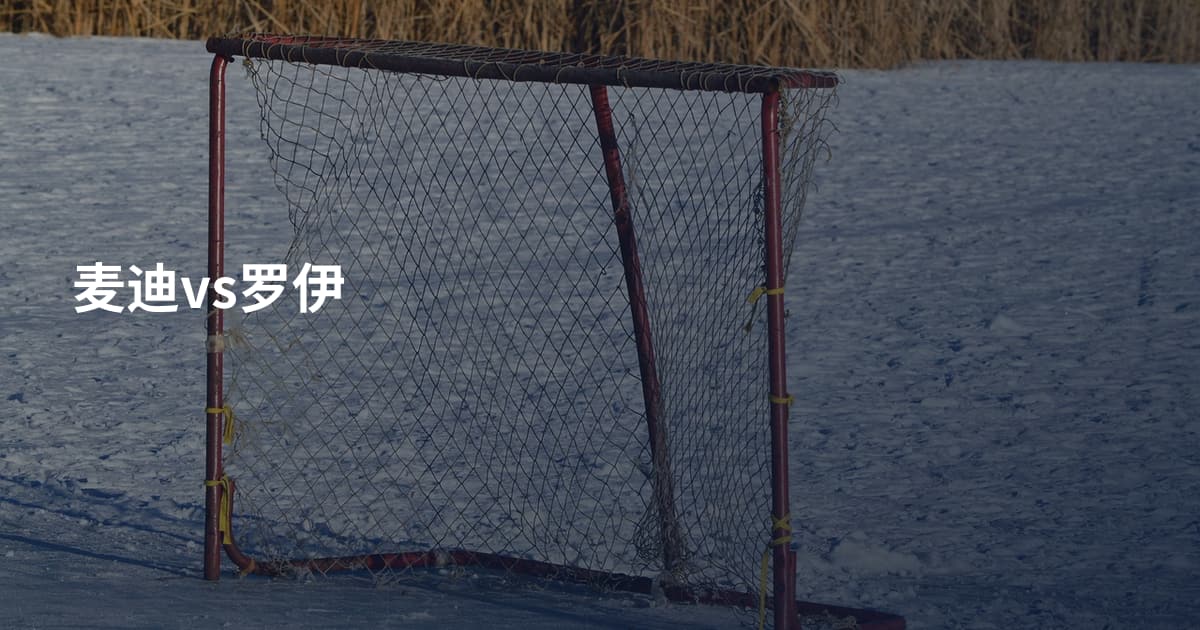 麦迪vs罗伊