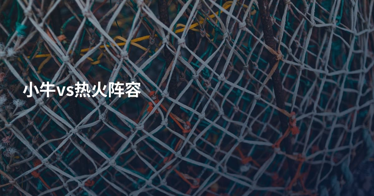 小牛vs热火阵容