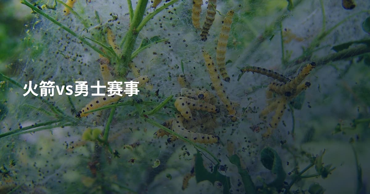 火箭vs勇士赛事
