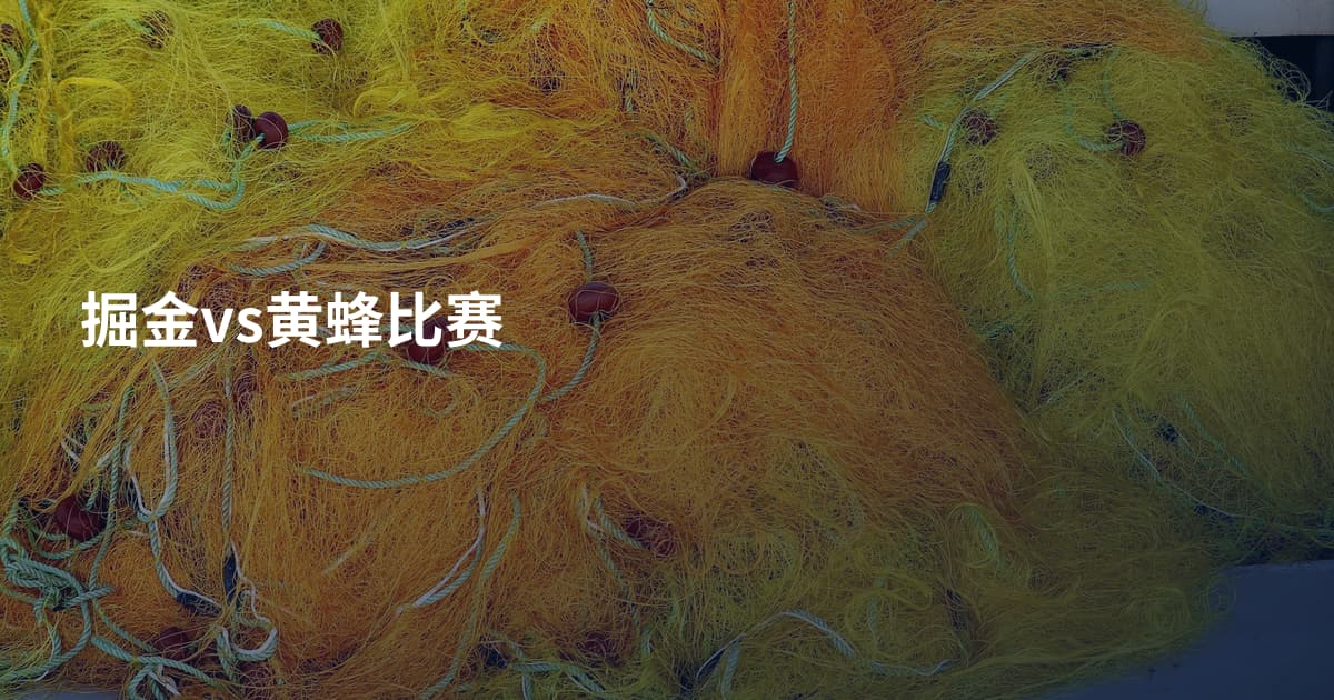 掘金vs黄蜂比赛