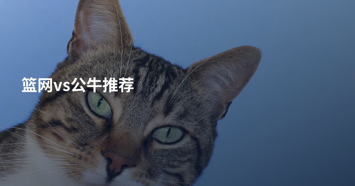 篮网vs公牛推荐