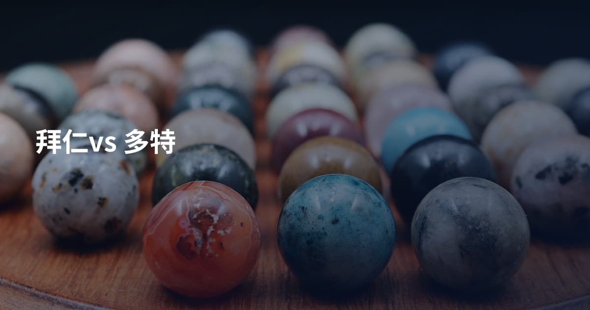 拜仁vs 多特