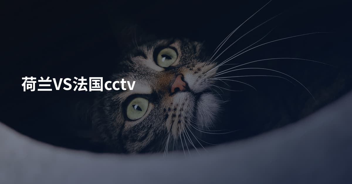 荷兰VS法国cctv