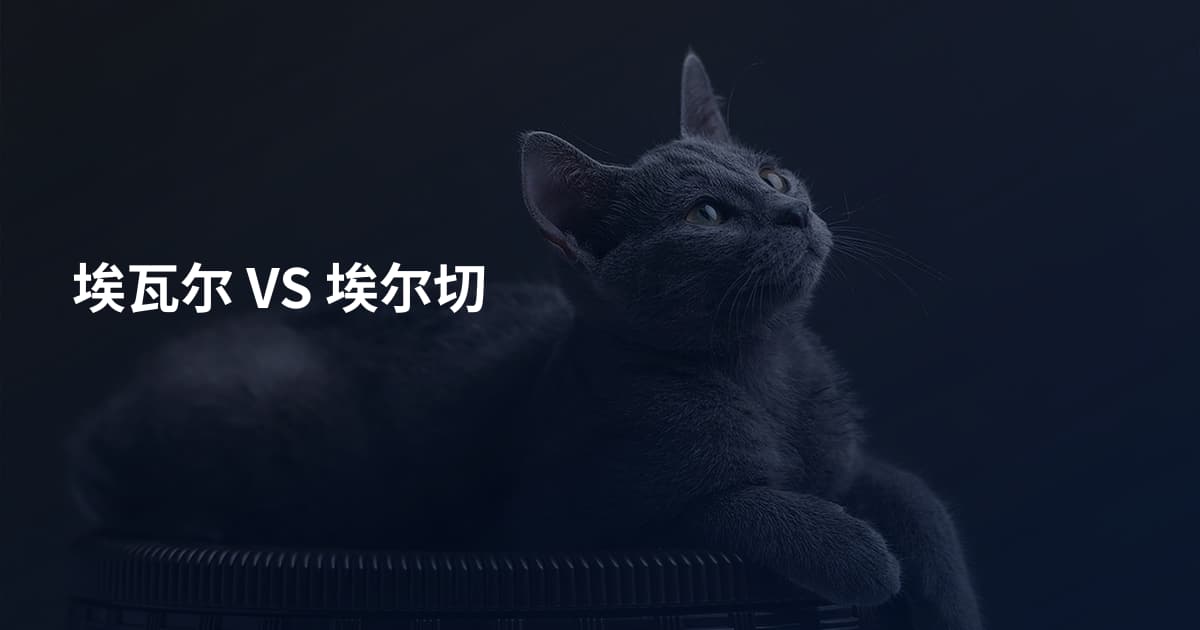 埃瓦尔 VS 埃尔切