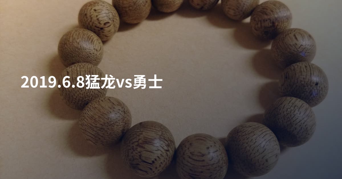 2019.6.8猛龙vs勇士
