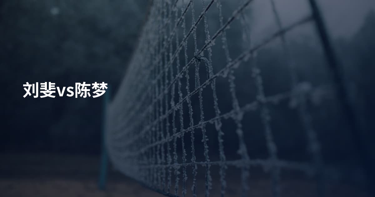 刘斐vs陈梦