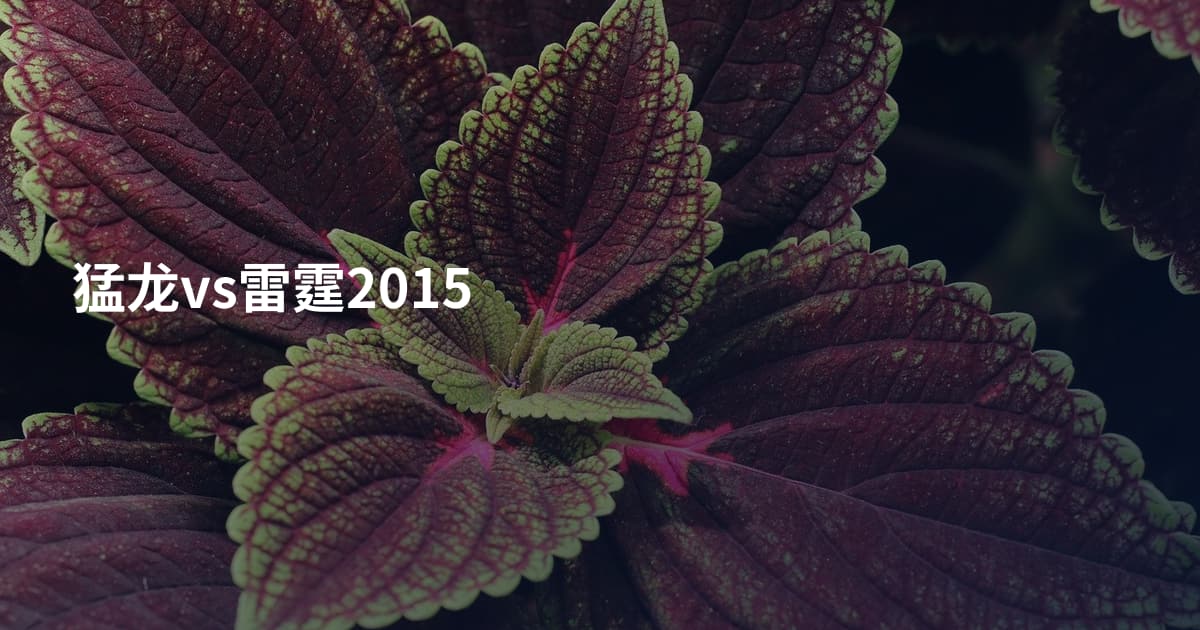 猛龙vs雷霆2015