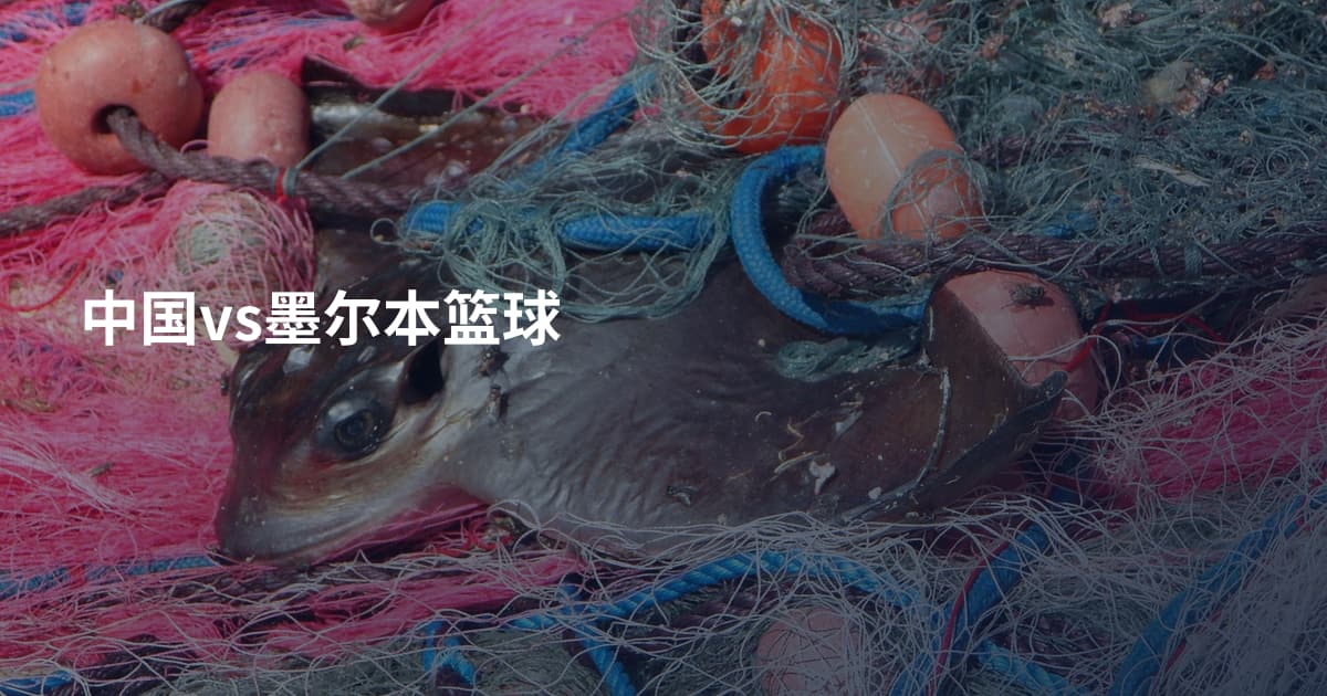 中国vs墨尔本篮球