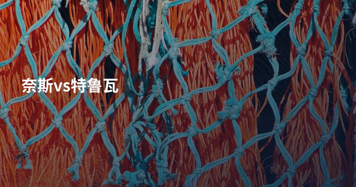 奈斯vs特鲁瓦