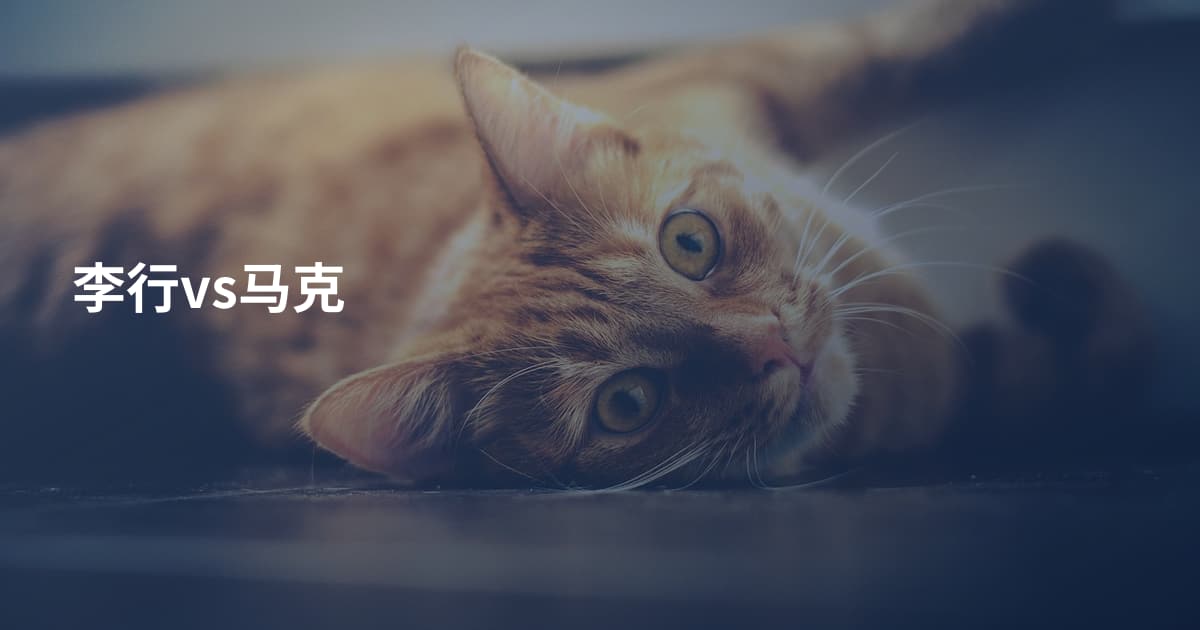 李行vs马克