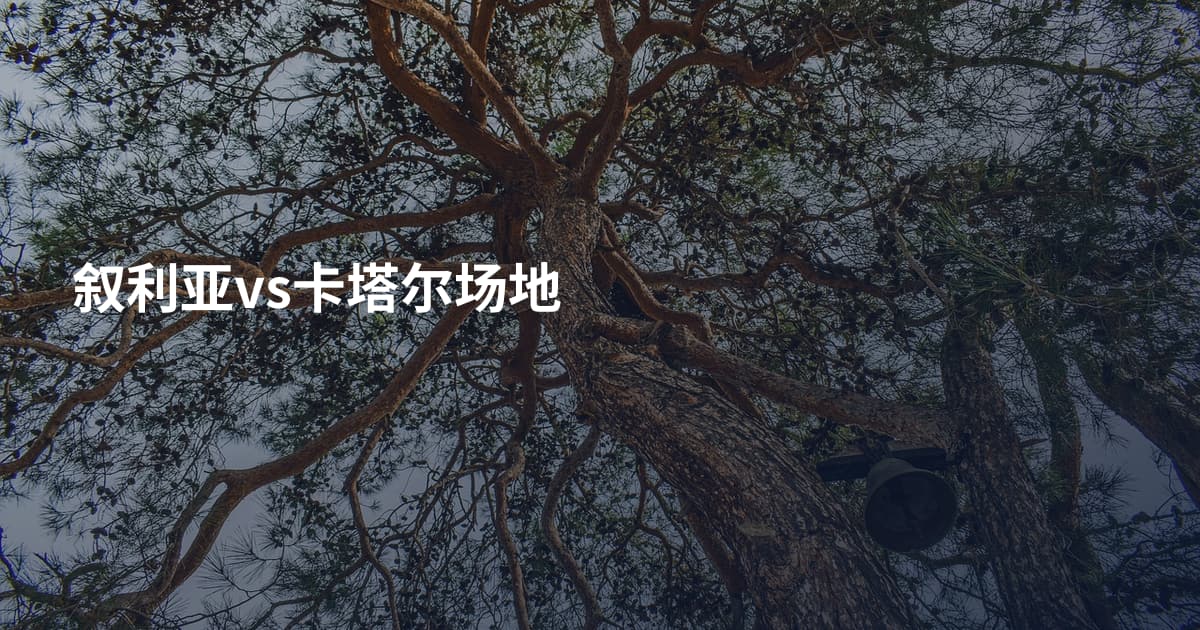 叙利亚vs卡塔尔场地