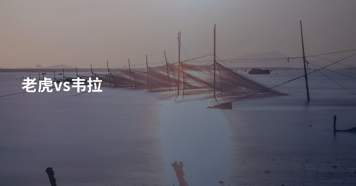 老虎vs韦拉
