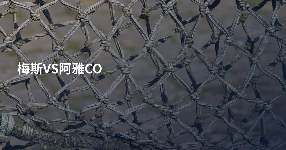 梅斯VS阿雅CO