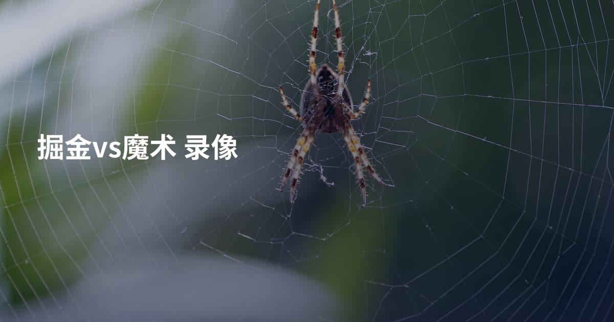 掘金vs魔术 录像
