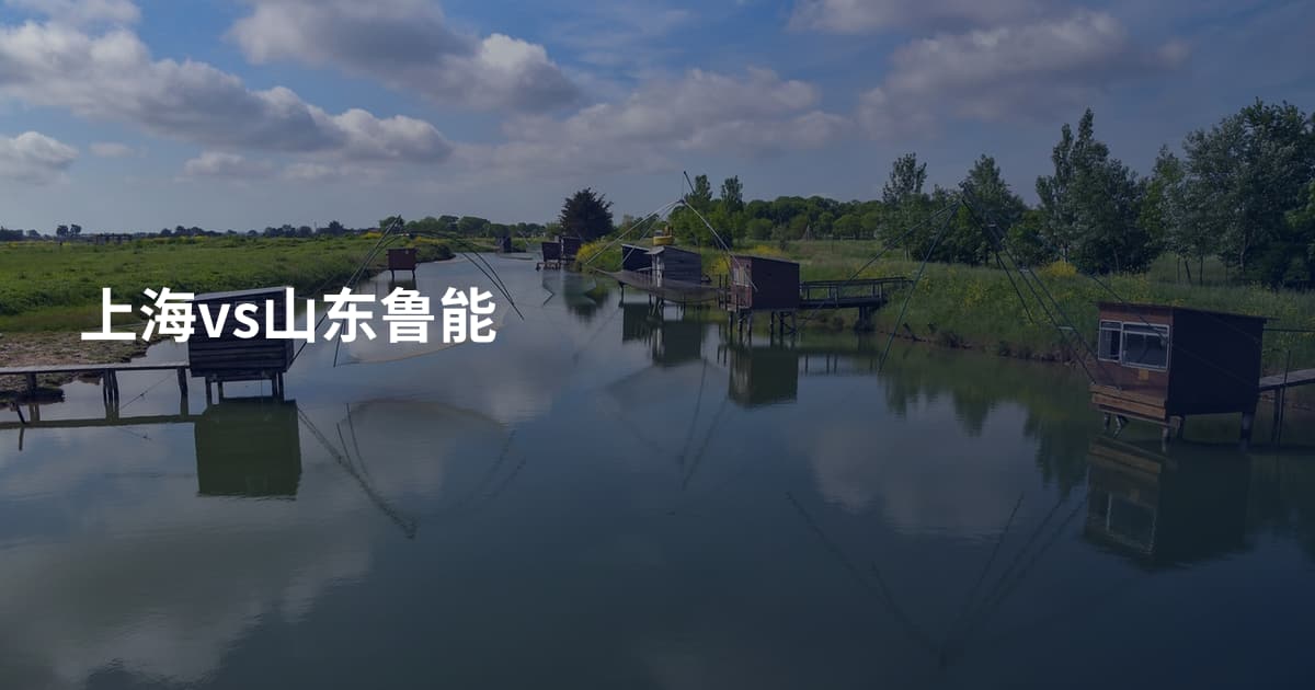 上海vs山东鲁能