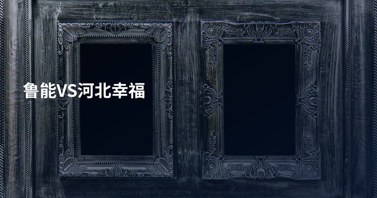 鲁能VS河北幸福