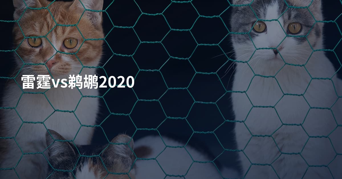 雷霆vs鹈鹕2020
