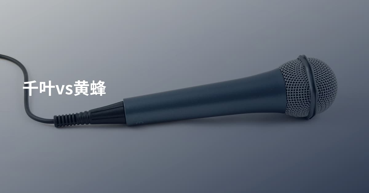千叶vs黄蜂