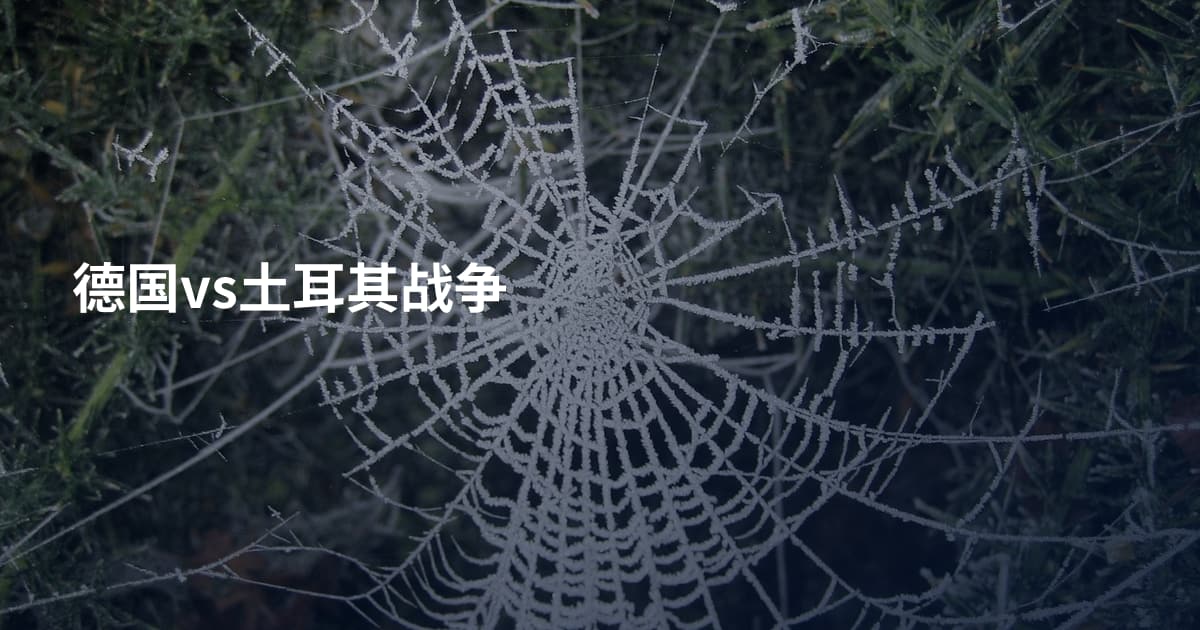德国vs土耳其战争