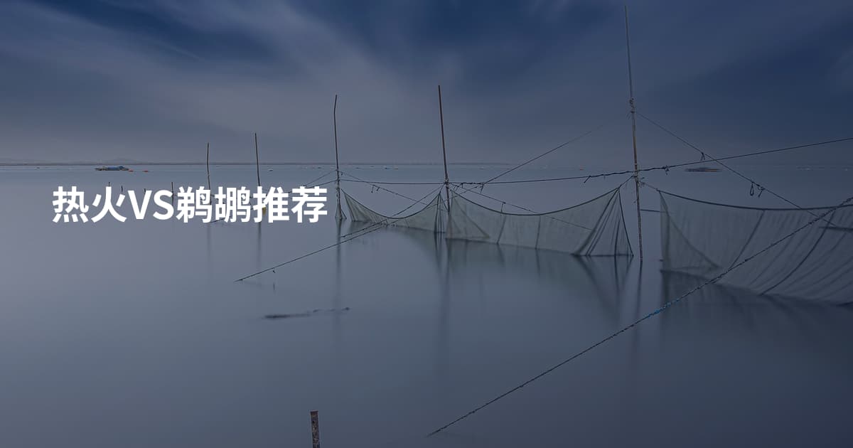 热火VS鹈鹕推荐