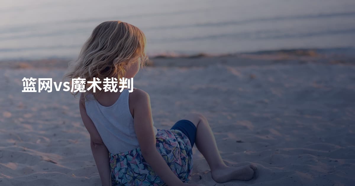篮网vs魔术裁判