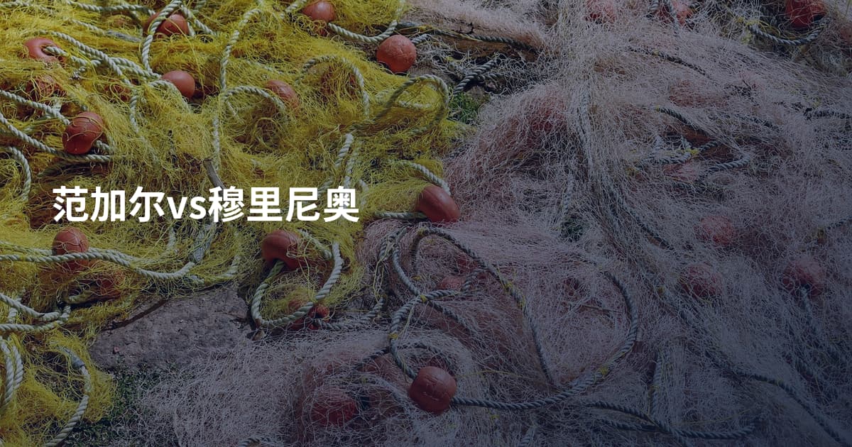 范加尔vs穆里尼奥