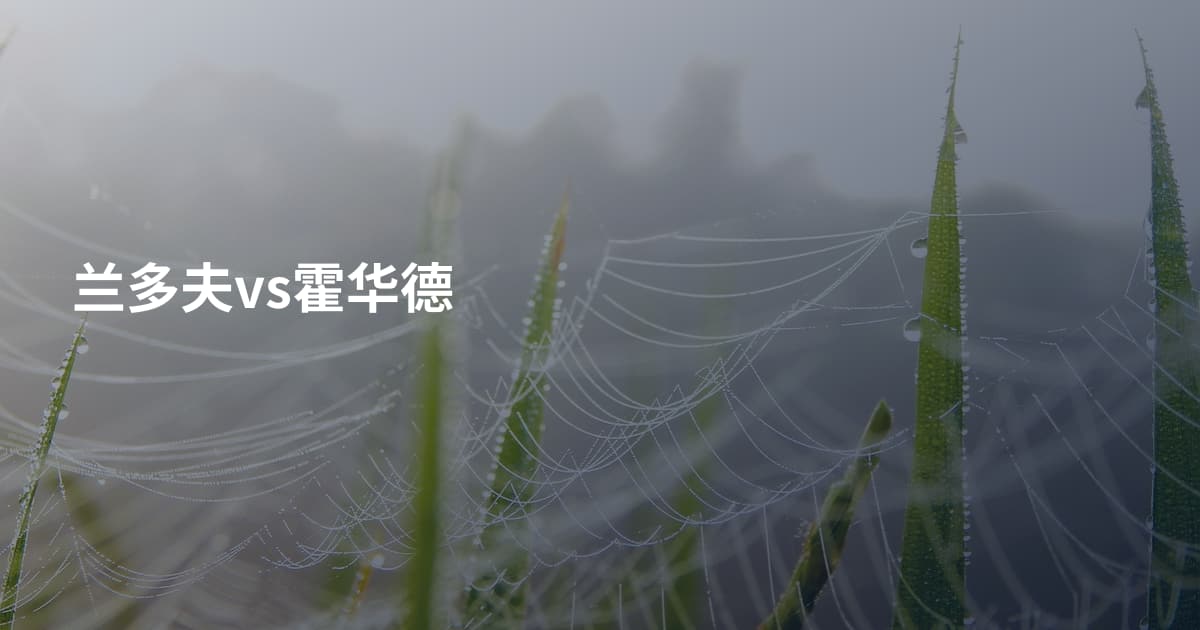 兰多夫vs霍华德