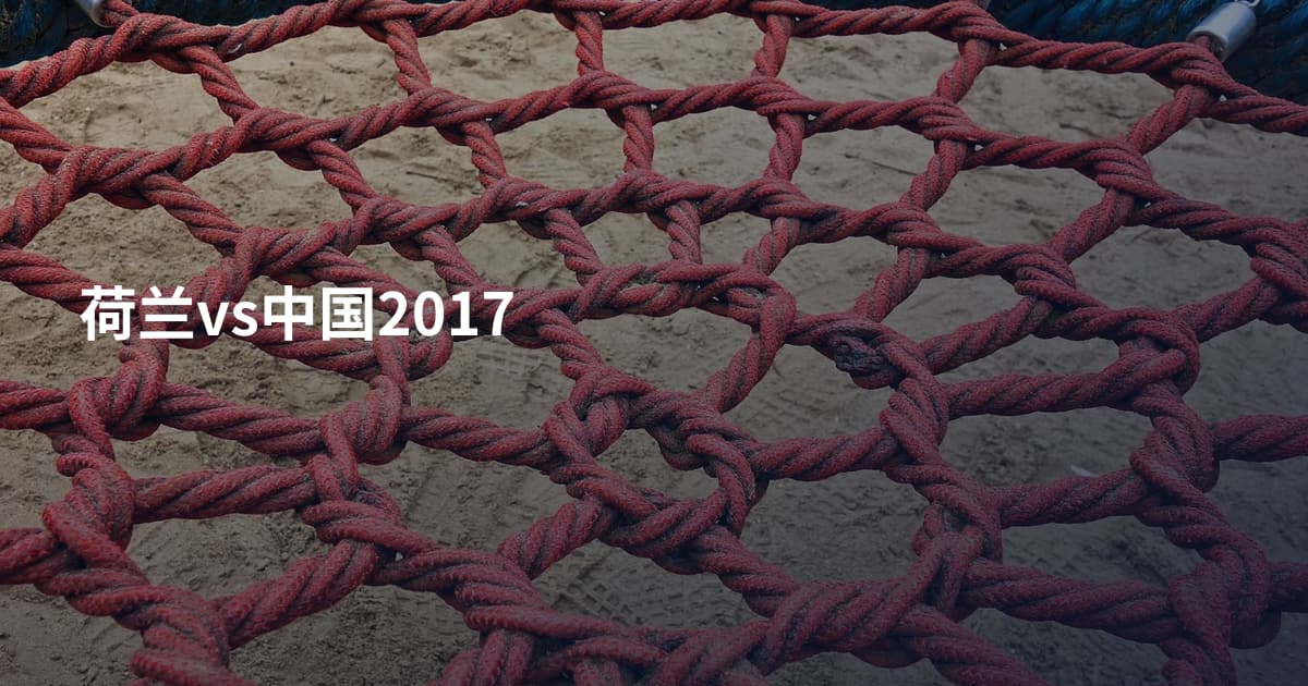 荷兰vs中国2017