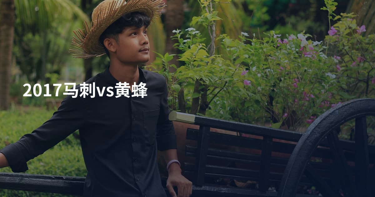 2017马刺vs黄蜂