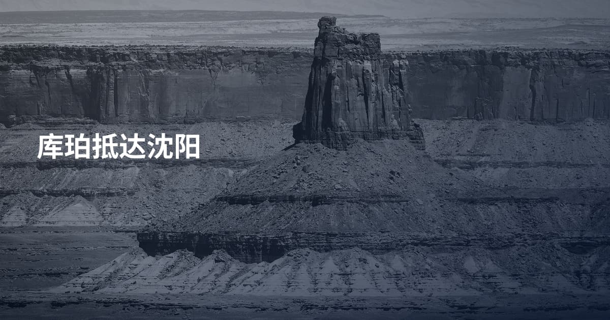库珀抵达沈阳