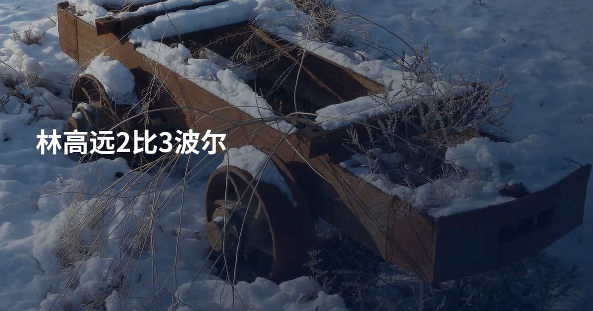 林高远2比3波尔