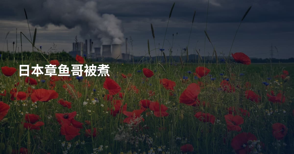 日本章鱼哥被煮