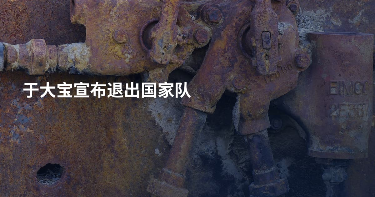 于大宝宣布退出国家队