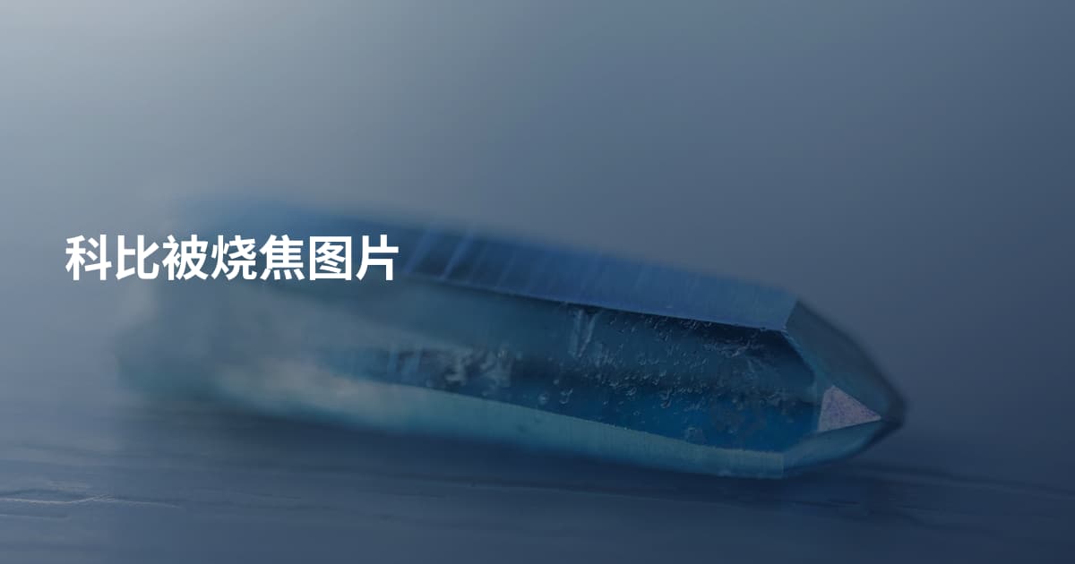 科比被烧焦图片