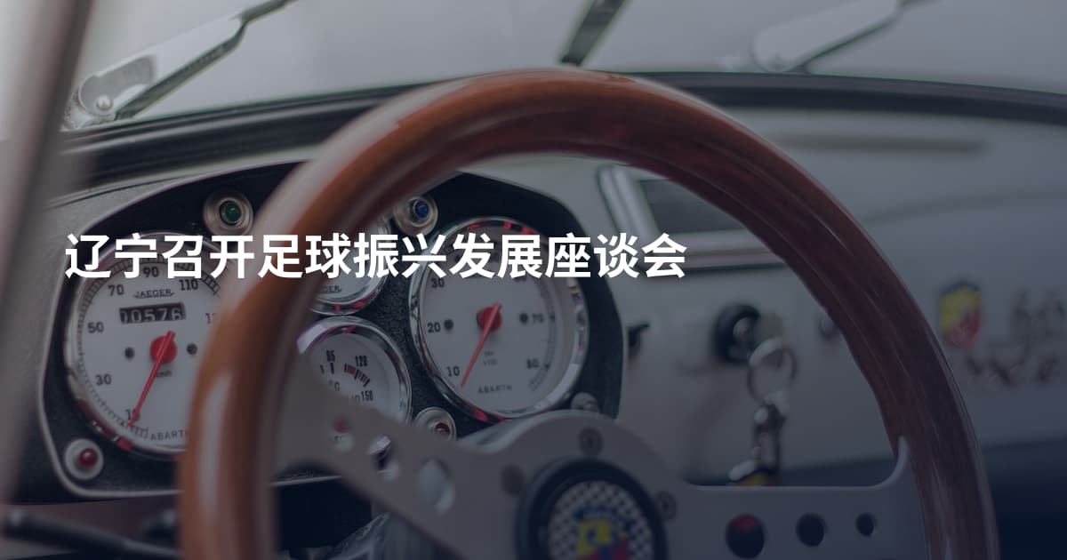 辽宁召开足球振兴发展座谈会