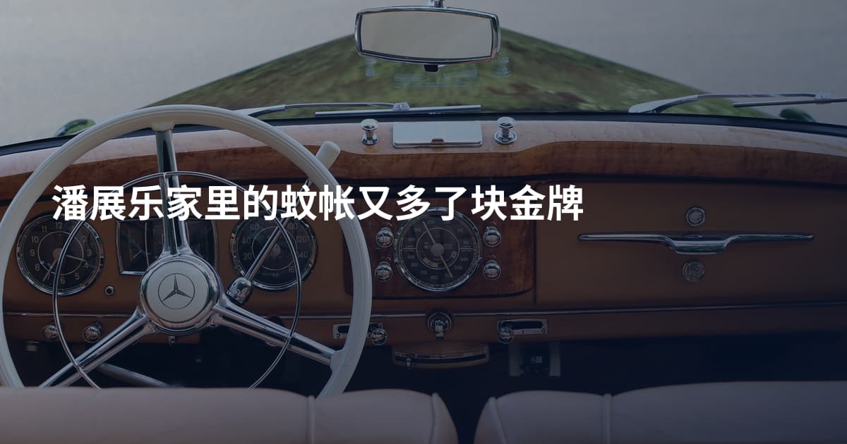 潘展乐家里的蚊帐又多了块金牌
