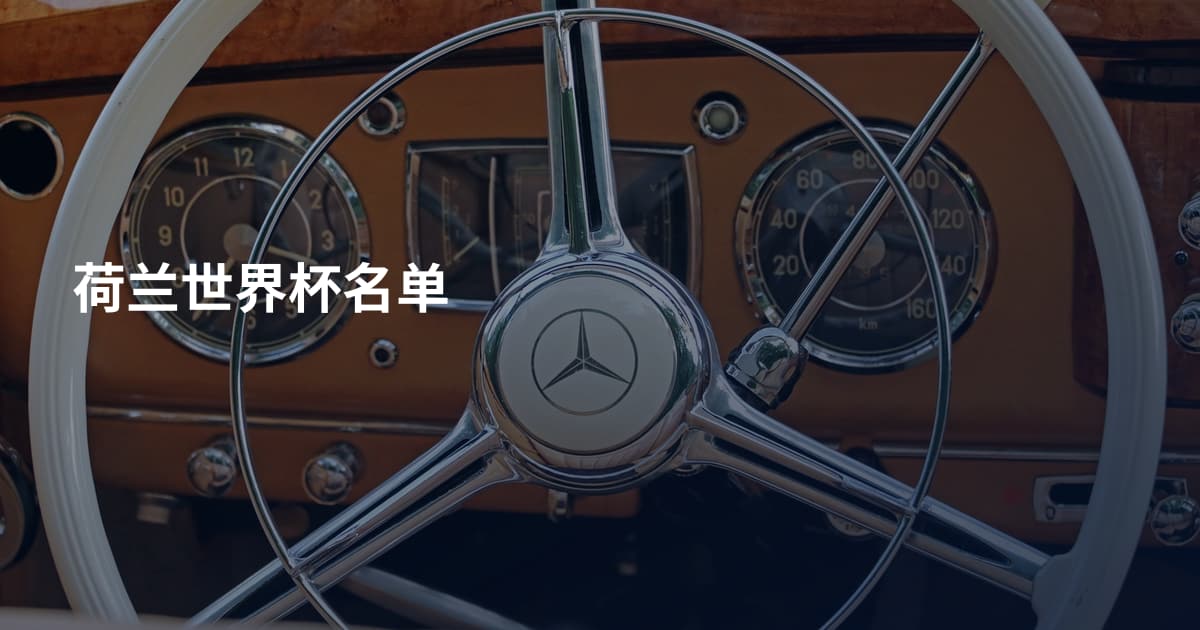 荷兰世界杯名单