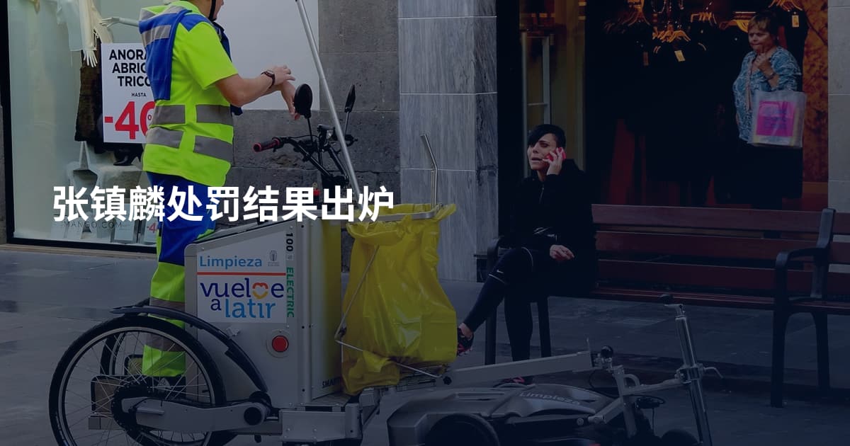 张镇麟处罚结果出炉