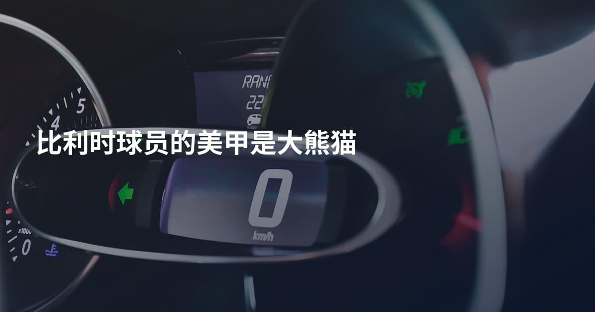 比利时球员的美甲是大熊猫